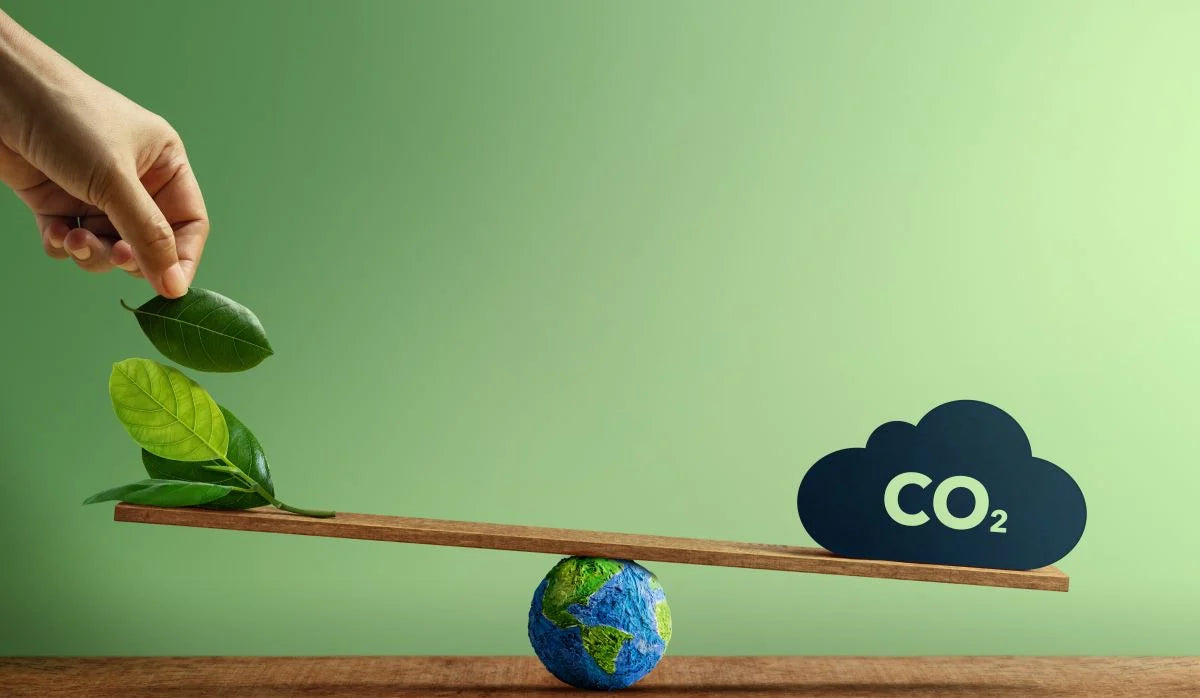 Top 5 Family Tips To Reduce Your Carbon Footprint
