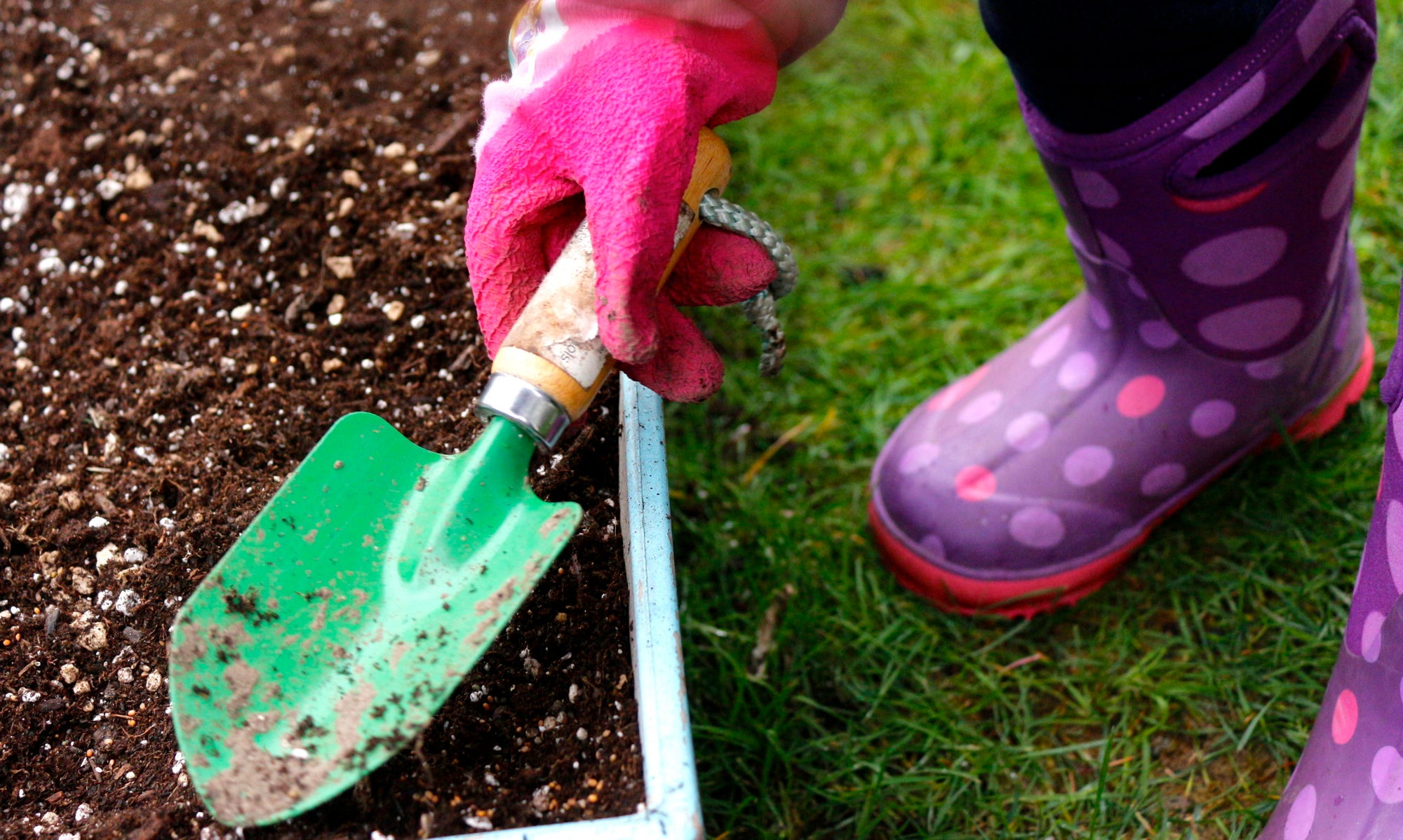 5 Tips To Start A Container Veggie Garden