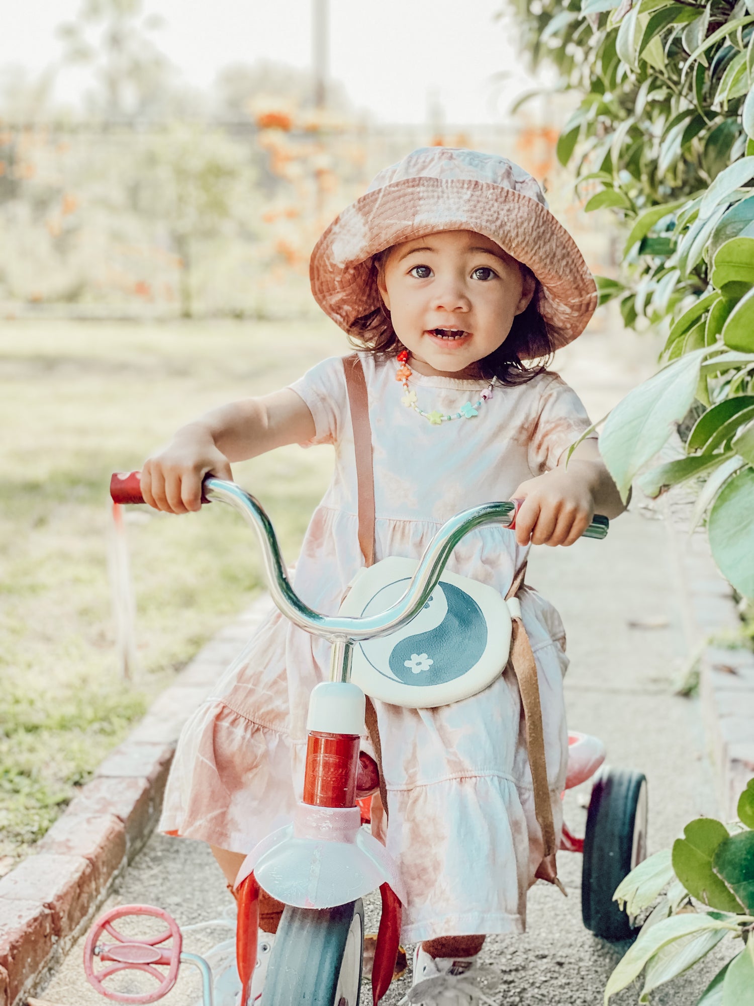 Natural Dyeing without harsh chemicals